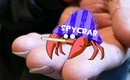 Spycrab