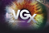 Лучшие игры уходящего года по версии VGX 2013